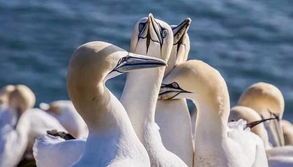 开云体育中国官方网站-德甲球队采用脑电反馈技术提升比赛专注力，脑电反馈训练是伪科学吗