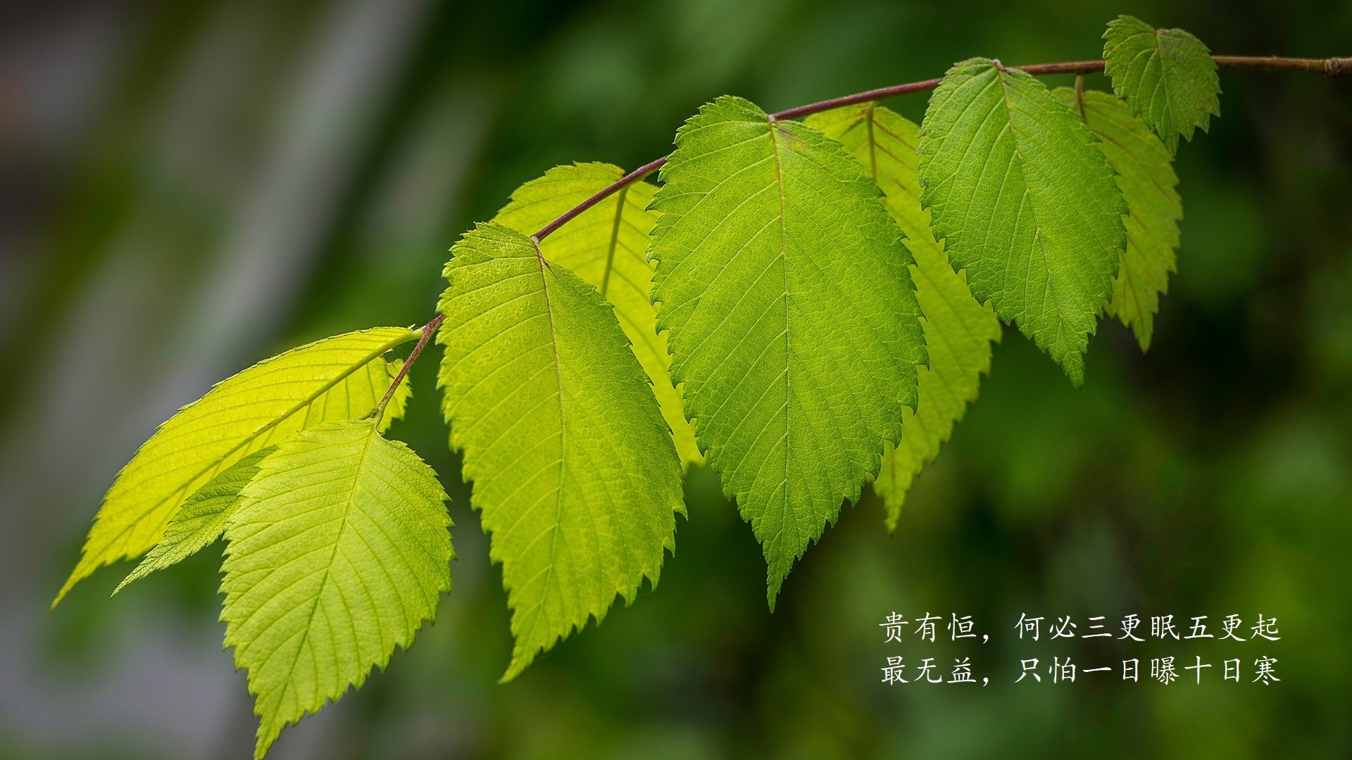 开云官方网页登录-法甲火热：巴黎在补时绝杀里尔，争冠形势更具悬念，巴黎在法甲称霸