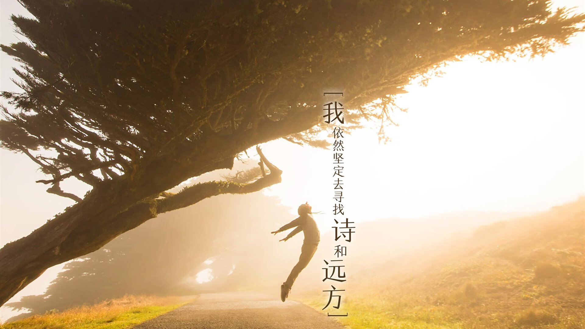 kaiyun官方网站-电竞游戏内观战系统创新设计与观众体验提升实践，电竞观众席图片