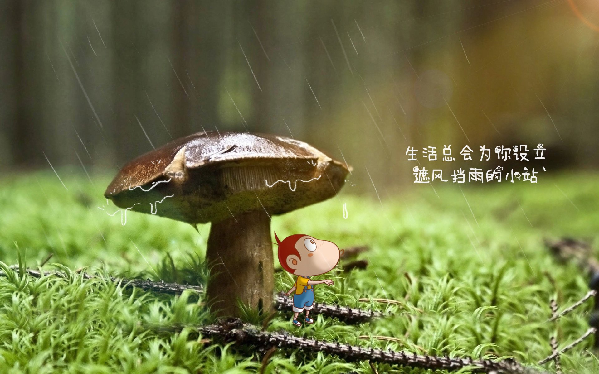 开云·Kaiyun网页版-选手比赛录像分析分享，比赛视频分析