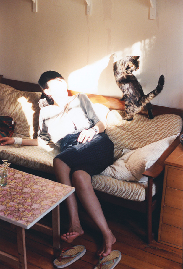 校园体育场馆智能管理与节能技术应用研究,体育场馆智能化设计方案