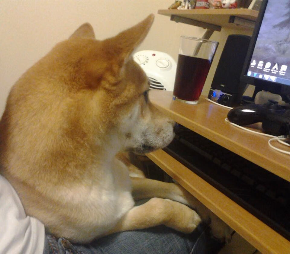 田径队伤病恢复进展良好，田径运动员伤病