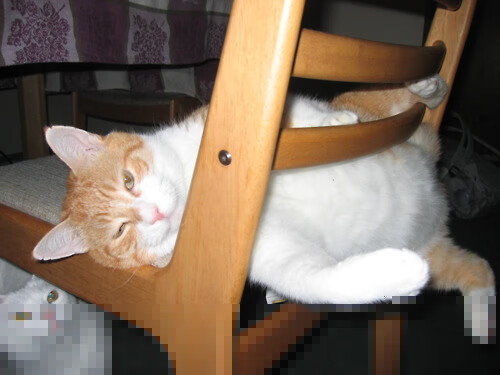 蝶泳200米战术布局更精细,200米蝶泳名次