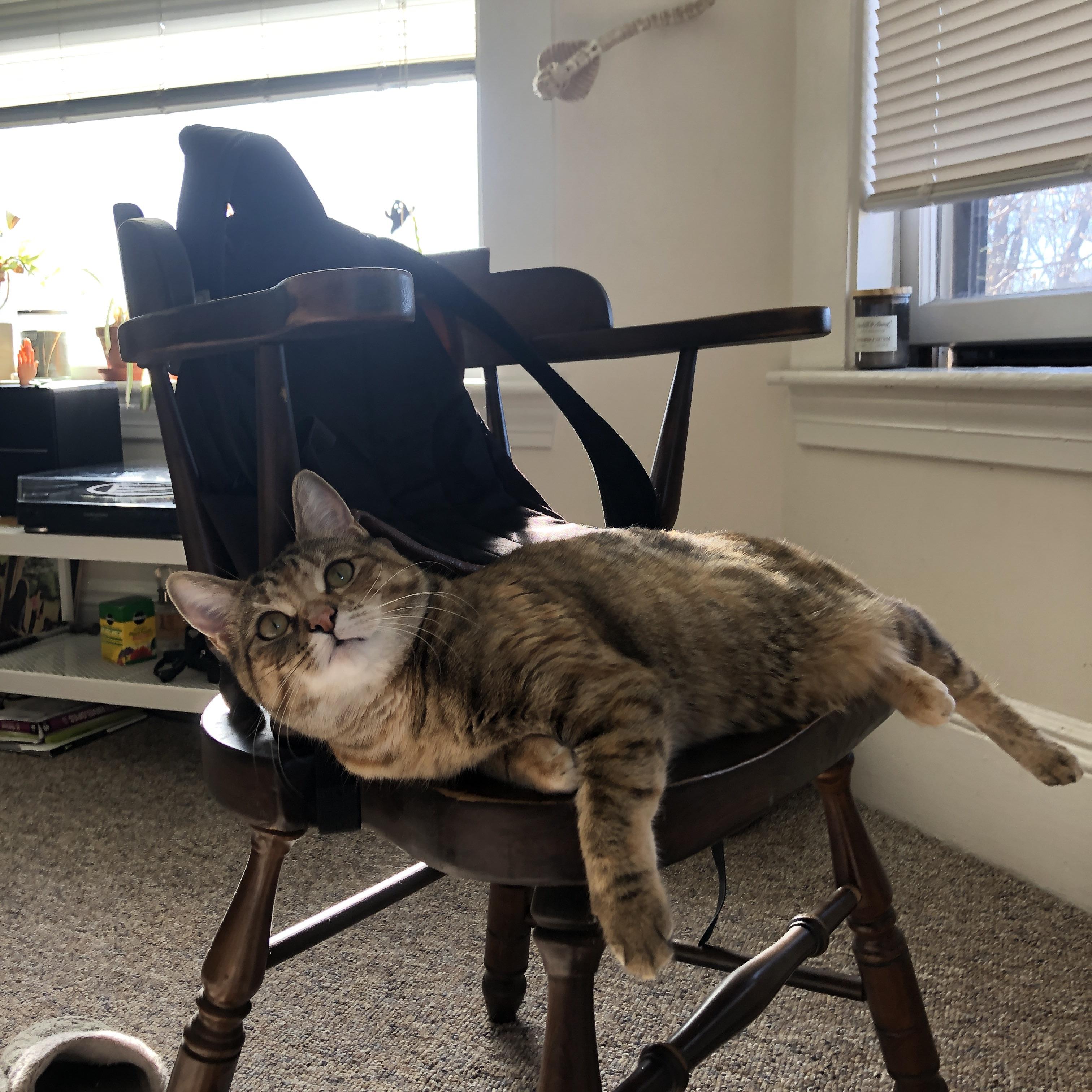 开云官方-克洛普不断创新战术，带领利物浦追逐更高荣誉