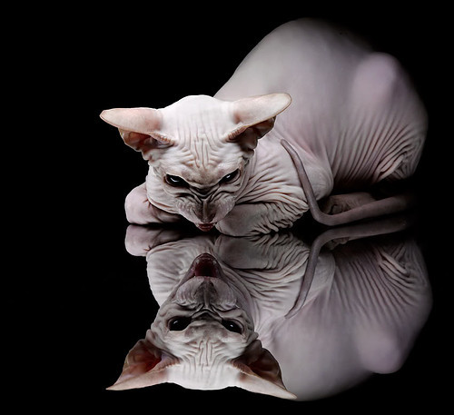 开云官方网站-地方联赛数据榜单公开透明增强竞赛公信力与观赏性，地区联赛