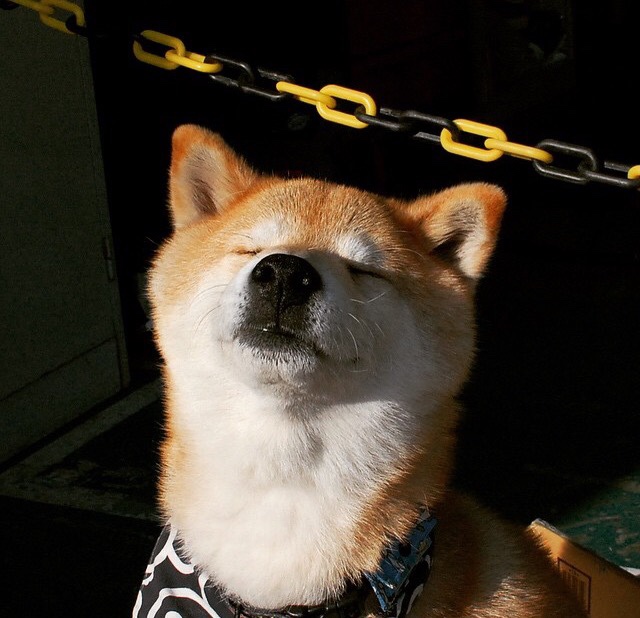 kaiyun体育app-英超冠军争夺：悬念升级，精彩绝伦！，英超冠军叫什么