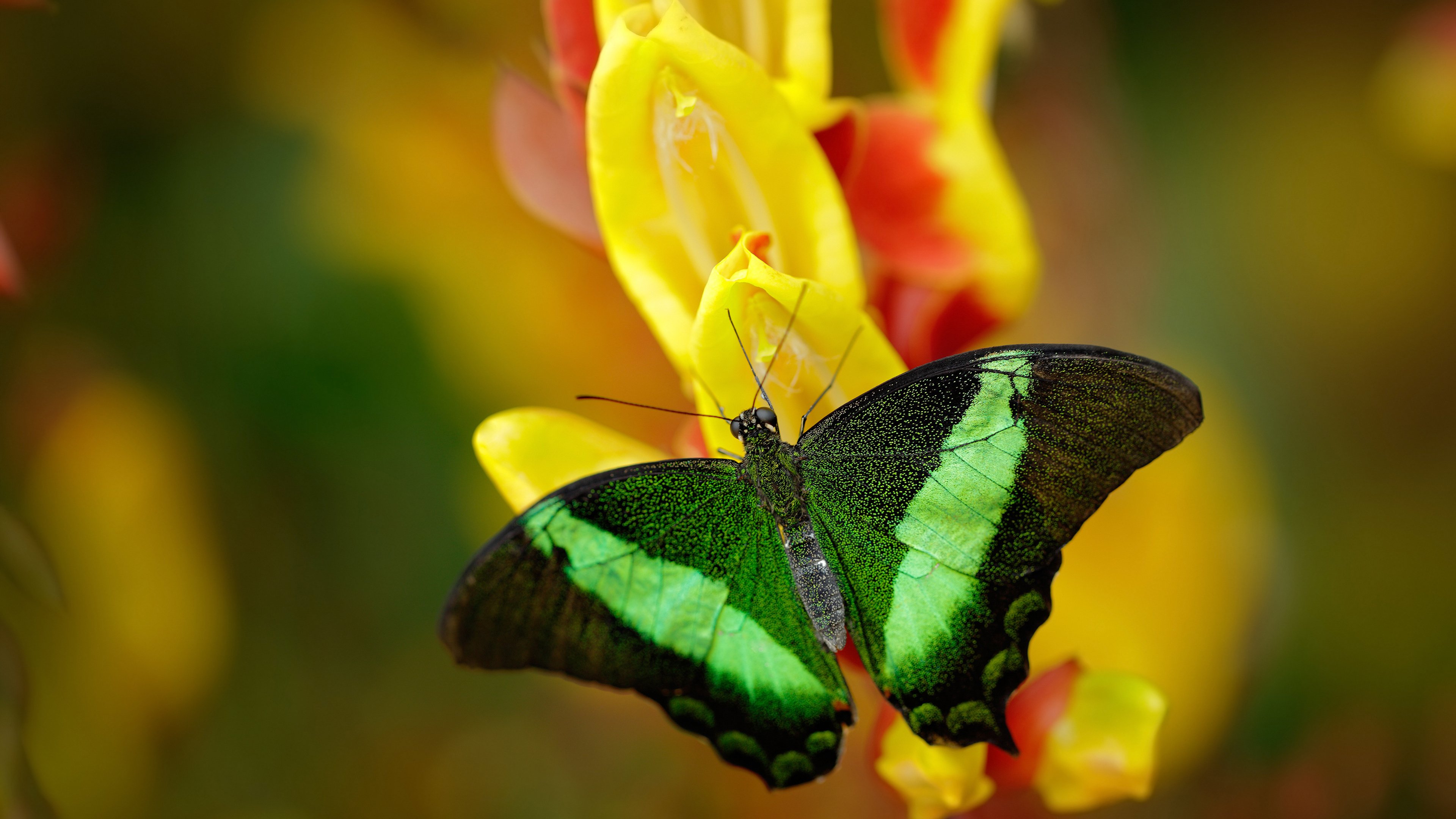 青训中心普及心理辅导课程注重球员情绪管理能力,足球心理训练对于青少年球员产生的影响
