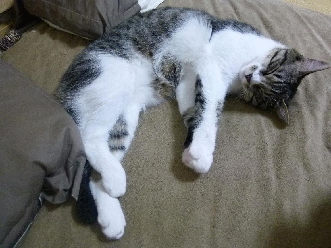 kaiyun中国官方网站-马尔尚突破自我刷新纪录，马尔尚兄弟酒庄